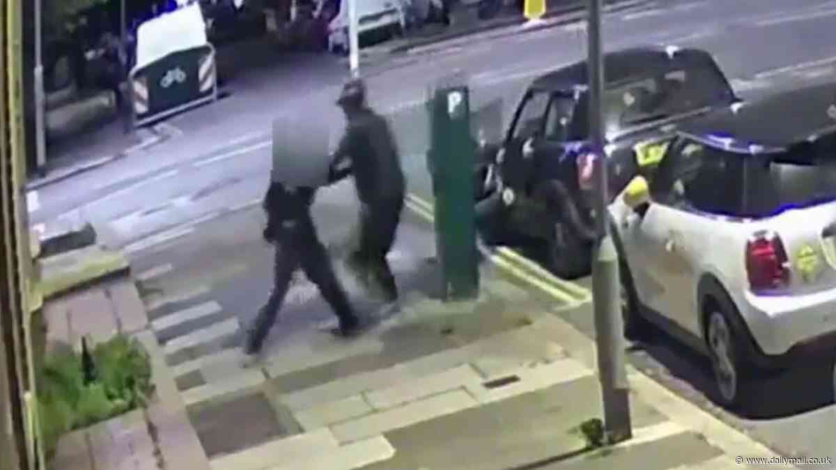Chilling moment balaclava-clad thug snatches woman off the street at random and drives off with her screaming in sickening kidnap plot