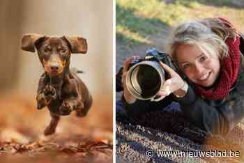Kinesitherapeute Elke (36) wint in één weekend twee internationale fotoprijzen: “Ik droom ervan om gewoon fotografe te zijn”