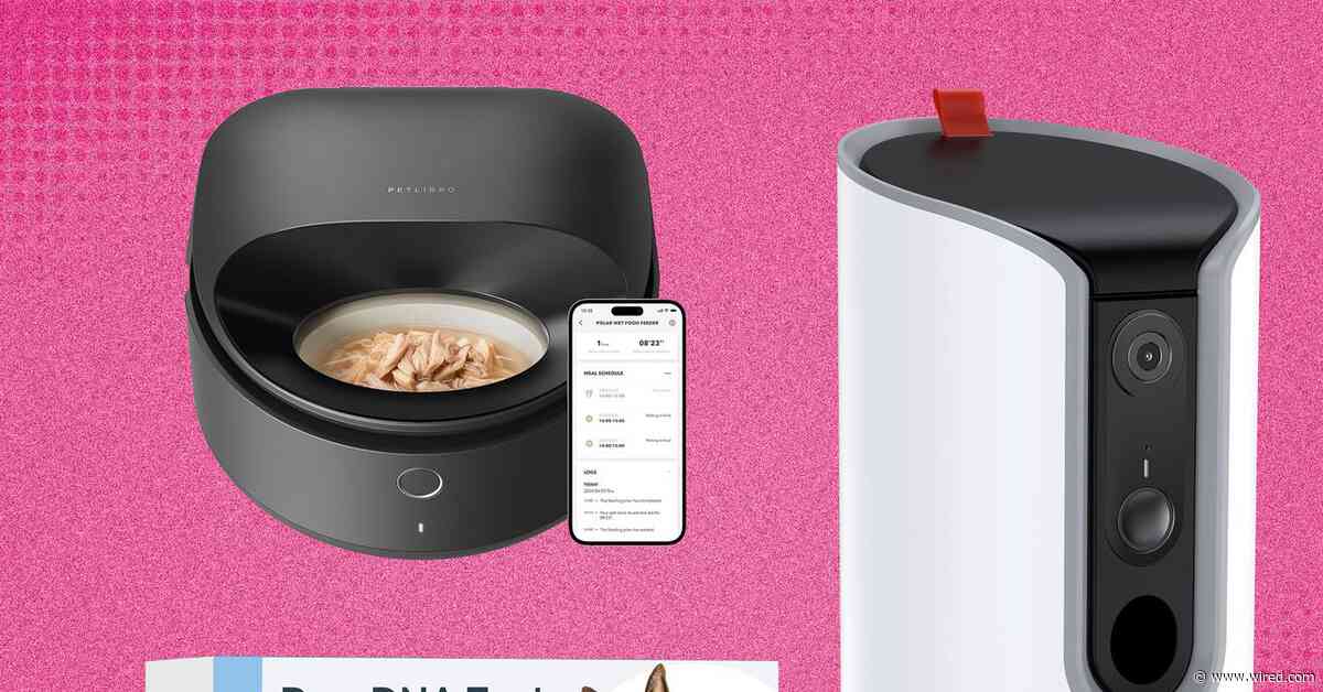 The 21 Best Early Amazon Pet Day Deals (2025)