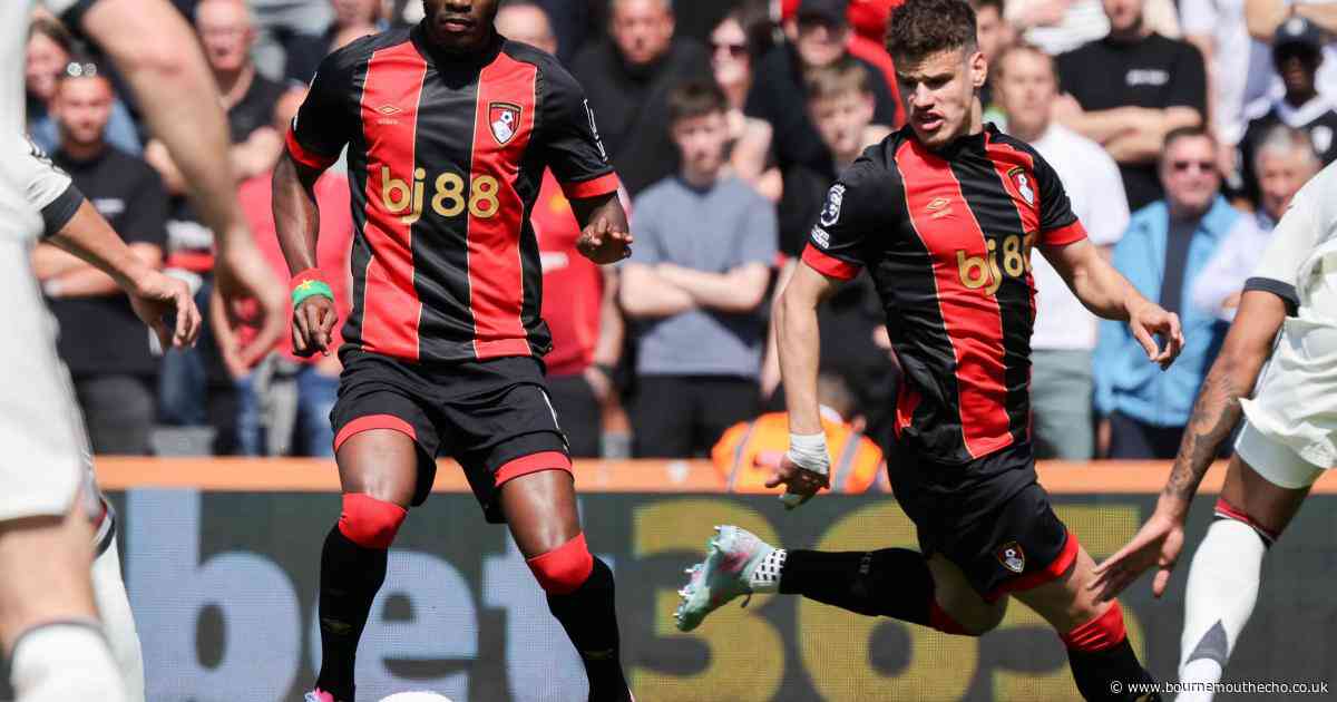 Ouattara has 'proper' injury and could miss rest of the season