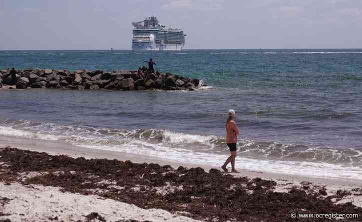 Record-breaking amounts of seaweed drifting toward Florida, experts say