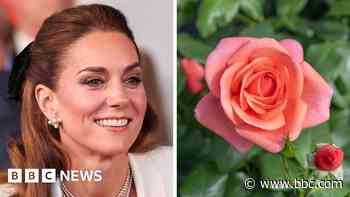 Rose named after Princess of Wales to celebrate 'power of nature'