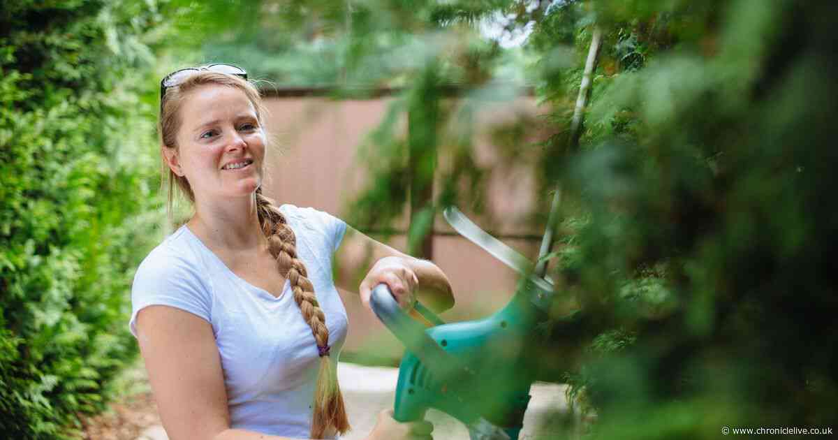 Met Office issues urgent warning to anyone who trims their hedges in May