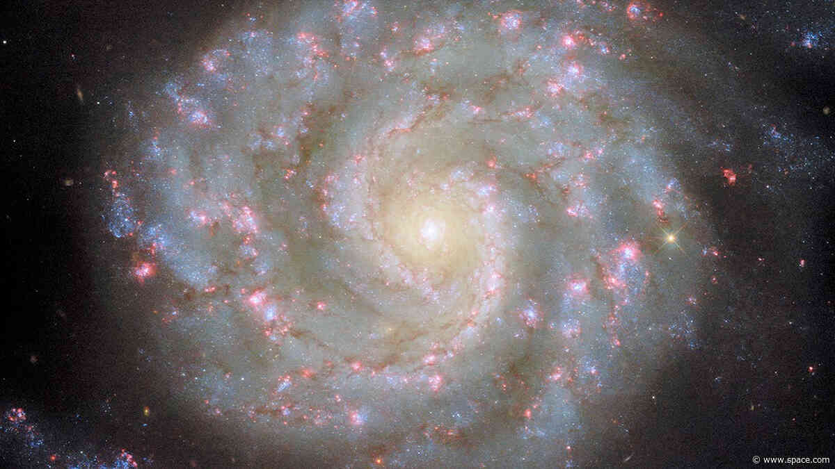 Face to face with a galaxy | Space photo of the day for May 9, 2025