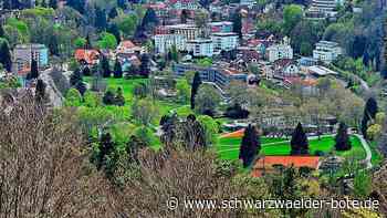 Schweizer Wiese in Bad Herrenalb: Wie ist das Stimmungsbild?