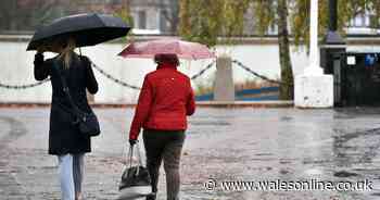 Met Office warn of 'vigorous thunderstorms' heading to Wales