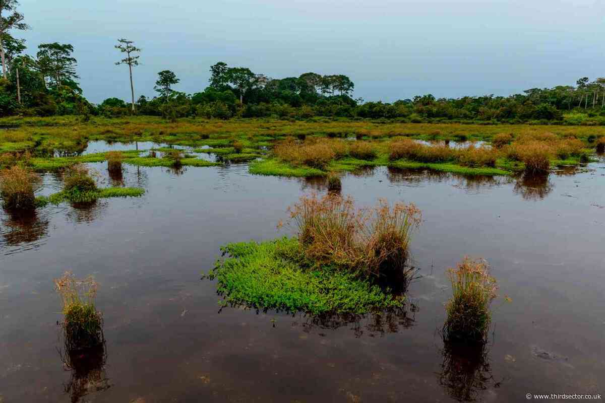 Conservation charity 'deeply regrets' human rights abuses committed by its rangers
