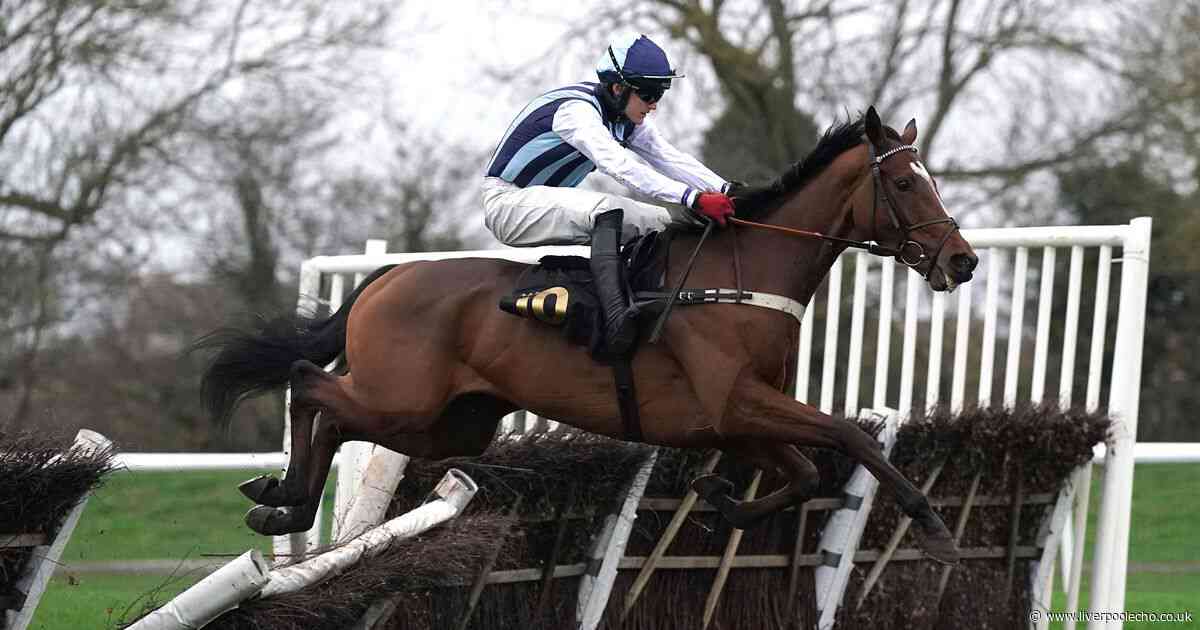 Horse Power: Big Boy Bobby can win the Swinton Hurdle at Haydock Park