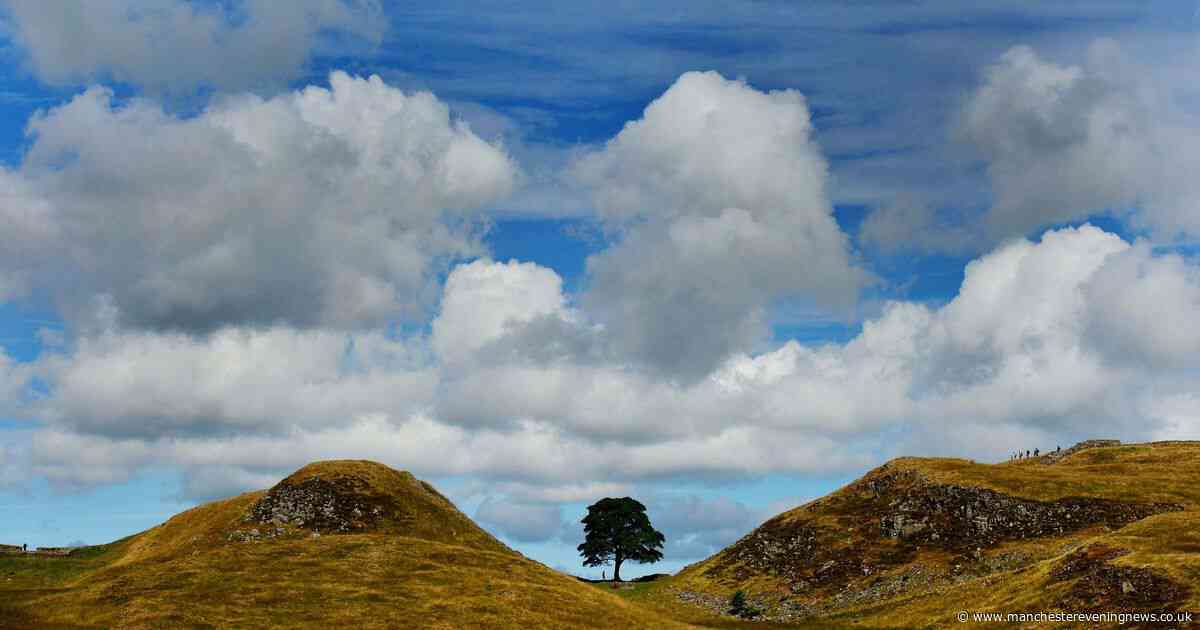 It was the backdrop to many personal memories - and in three minutes they destroyed it