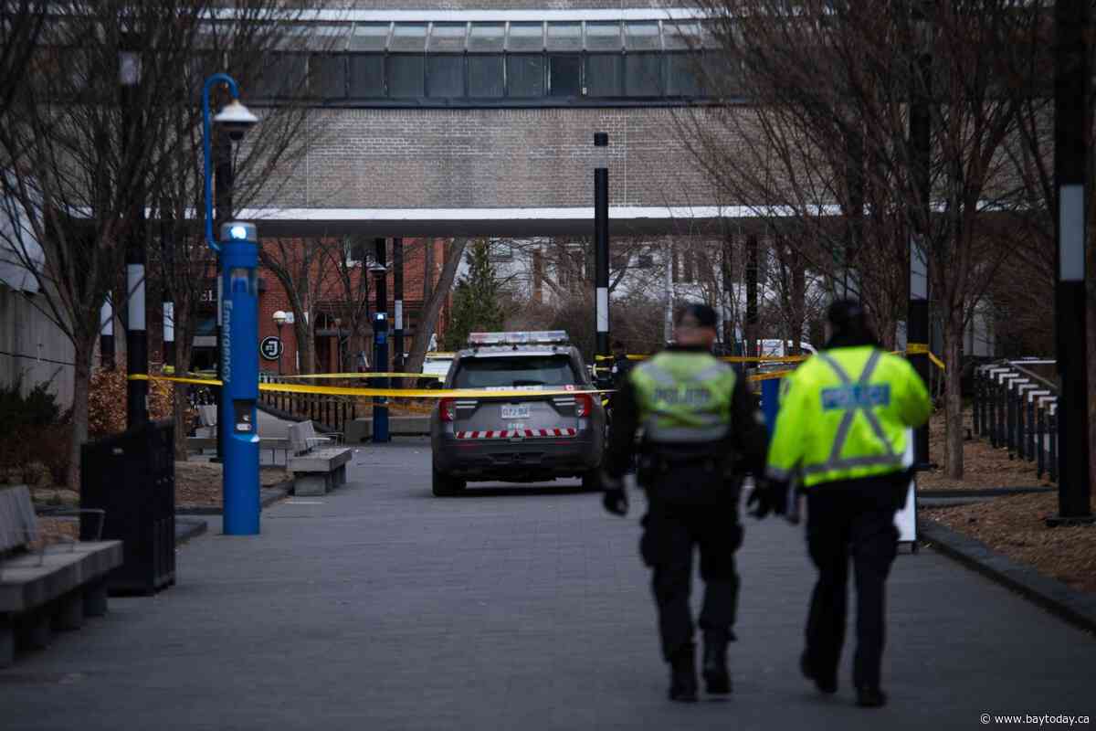 Suspect in TMU hit-and-run arrested, faces multiple charges: Toronto police