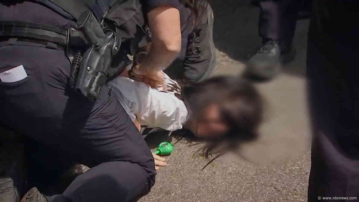 Massachusetts police hold girl's face to the ground as ICE arrests her mother, video shows