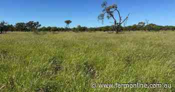 Exclusion-fenced property for breeding and fattening cattle or small stock