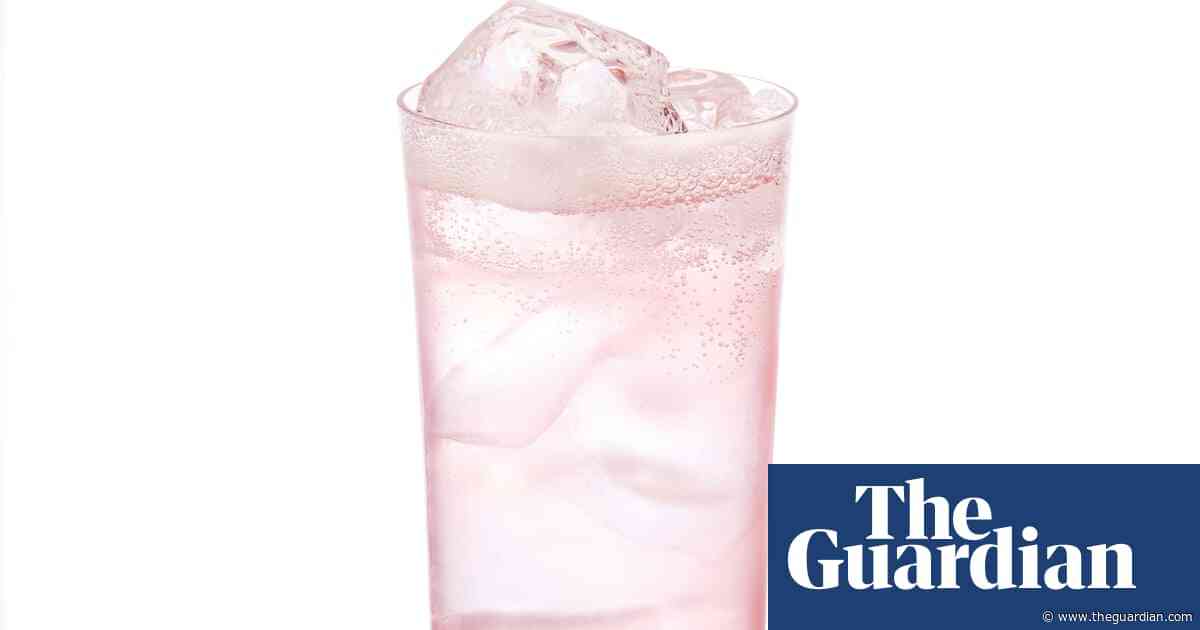 Cocktail of the week: Pip’s rhubarbarella – recipe | The good mixer