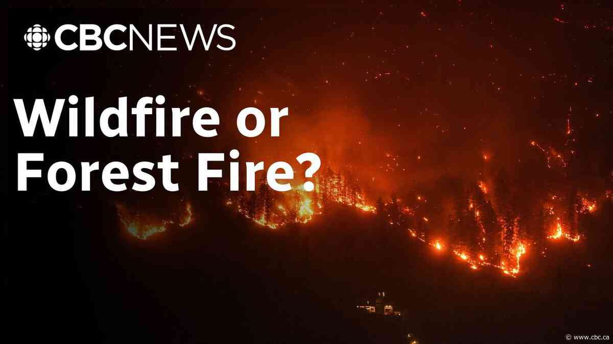 What is the difference between a wildfire and a forest fire?