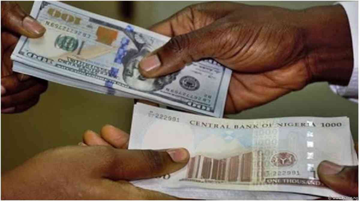 From 6 Kobo to ₦1,609: How Naira to Dollar exchange rate fell from grace to grass