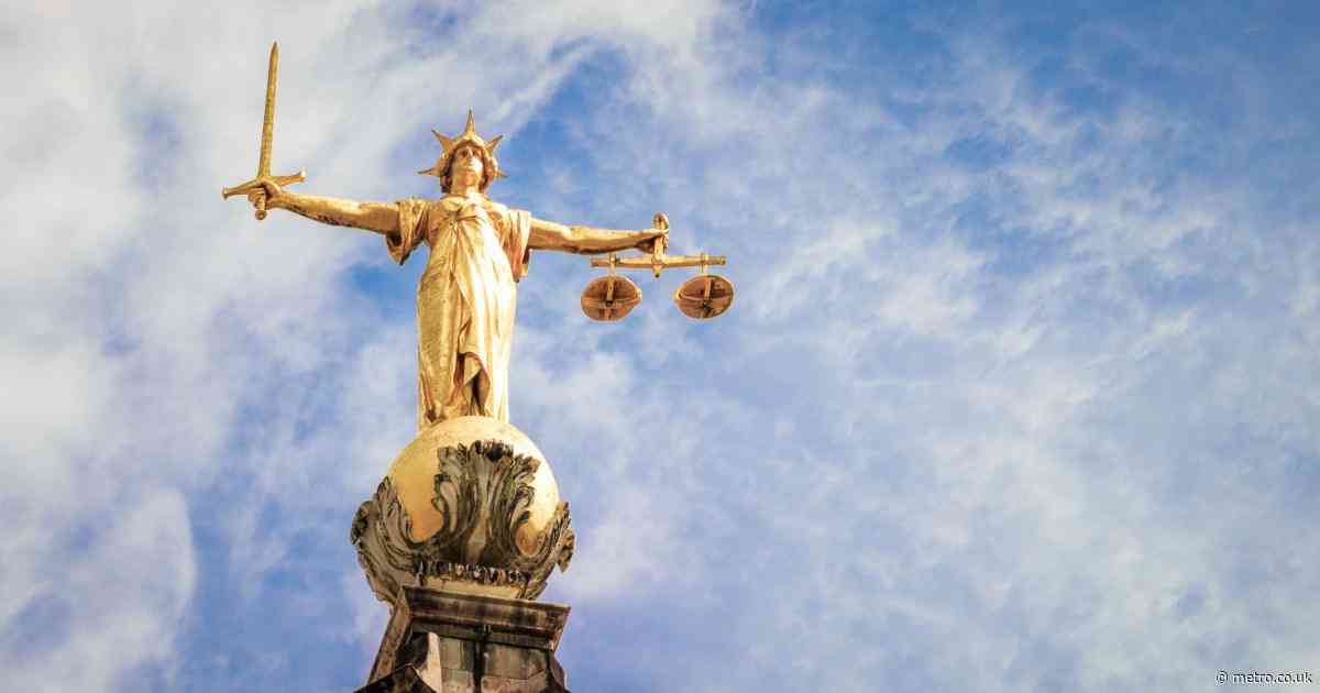 Judge scolds barrister for using ‘made-up cases’ in her court arguments
