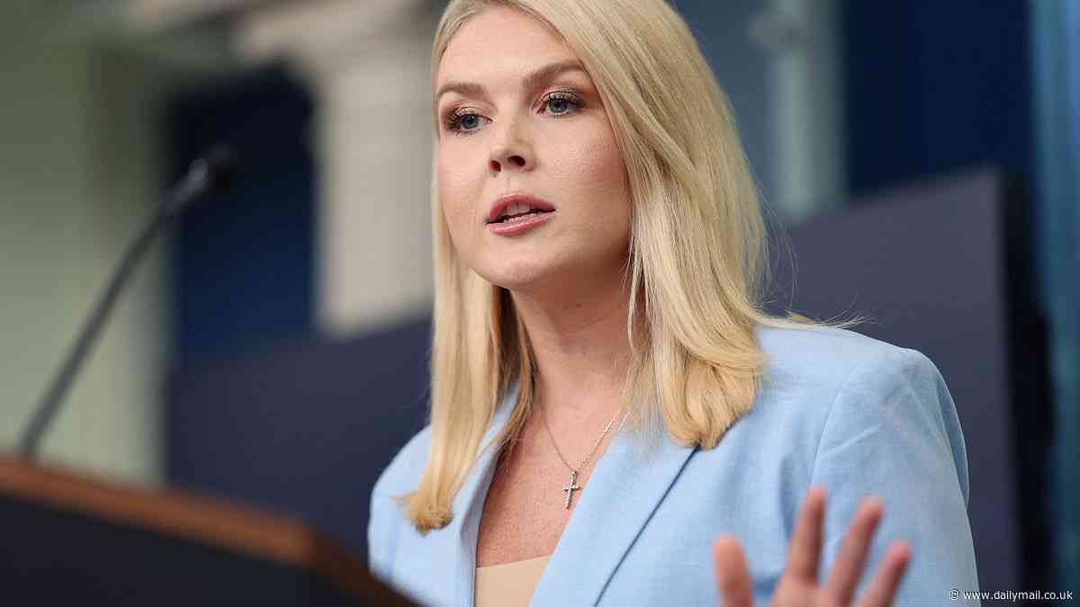 Furious Karoline Leavitt slams 'frankly ridiculous' claims Trump is profiting off the presidency