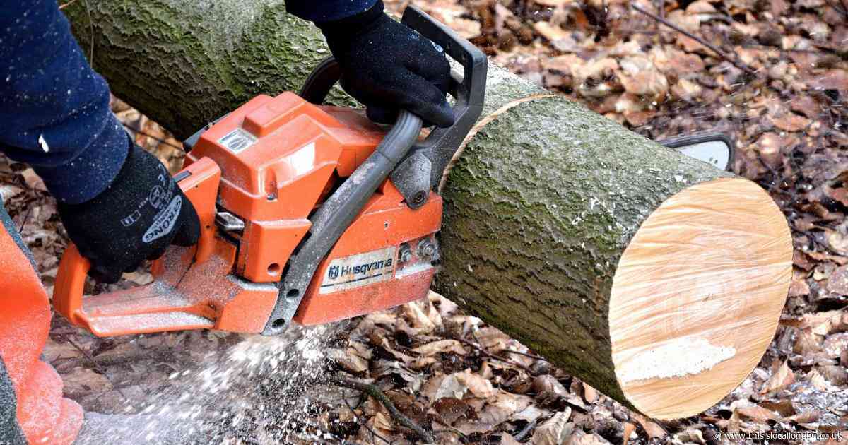 Car wash and tree work among weekly plans submitted to Barking and Dagenham Council