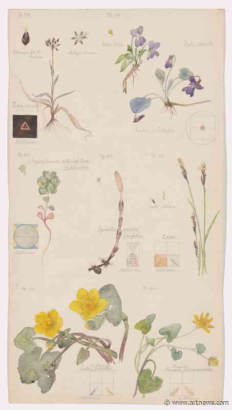 MoMA Curator Jodi Hoptman on Never-Before-Seen Hilma af Klint Botanical Drawings