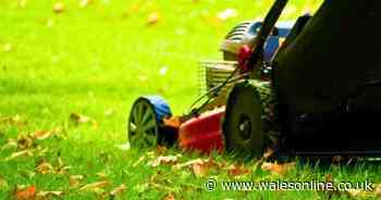 One easy task in May that will help your lawn 'fight off moss'