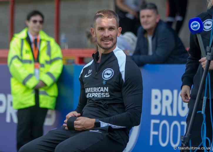 &#8216;We want to finish off really well&#8217; &#8211; Brighton&#8217;s focus is on performing at Villa Park says Vidošić