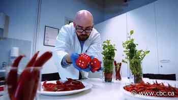 Dance Your PhD winner channels his inner Kylie Minogue to explain food science