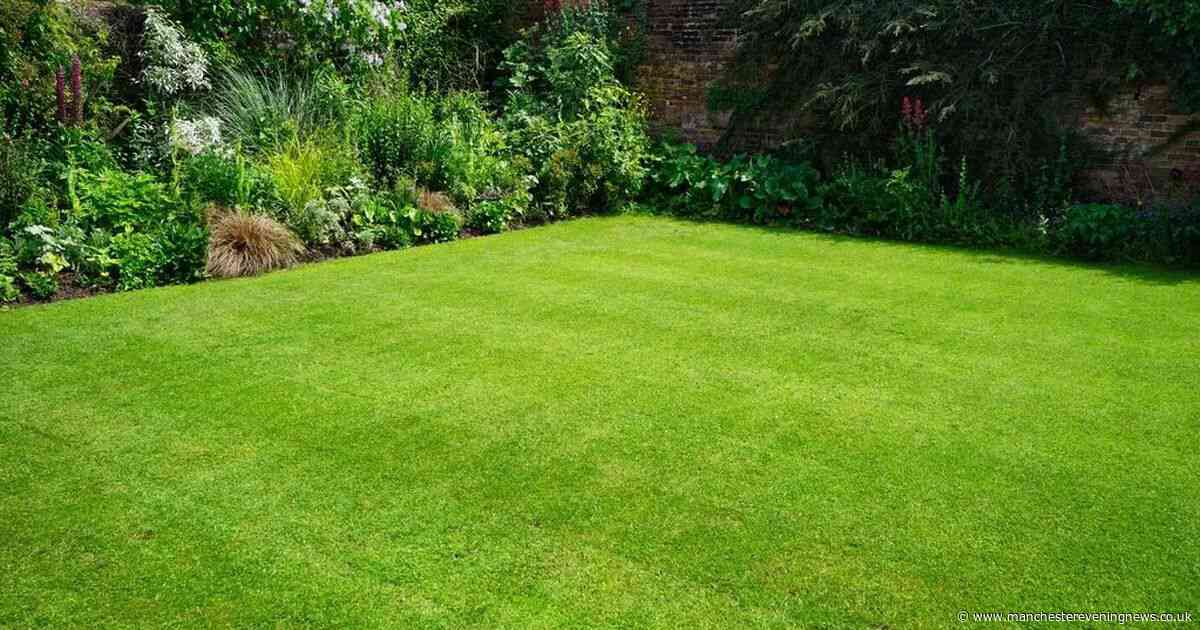 Do this one gardening job today for 'brighter, greener' grass this summer