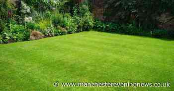 Do this one gardening job today for 'brighter, greener' grass this summer