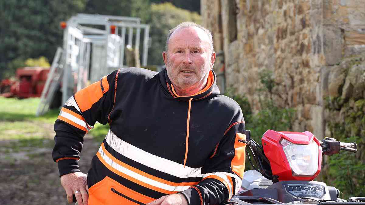 Lumberjack who was falsely accused of chopping down the Sycamore Gap tree 'considered taking his own life' after being arrested for felling the iconic landmark