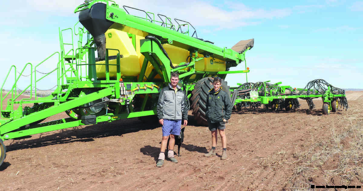 New lupin variety will make a showing at Beverley as grower checks benefits