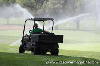 Living Close to a Golf Course Could Increase Risk of Parkinson’s Disease