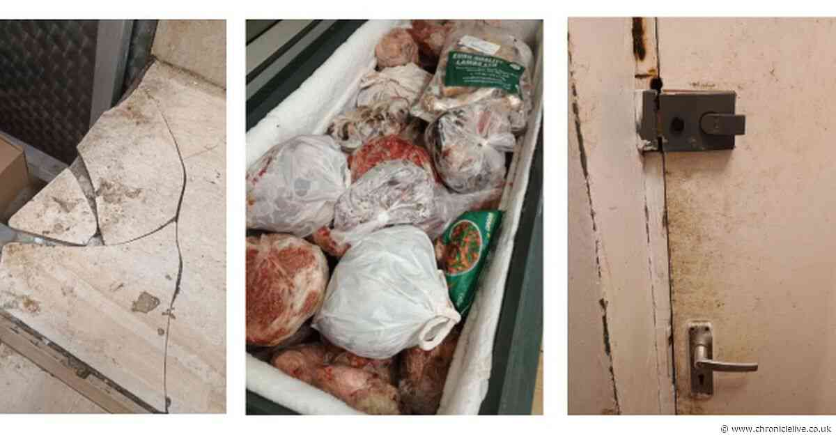 Rats found near Newcastle butchers that stored meat in disintegrating carrier bags