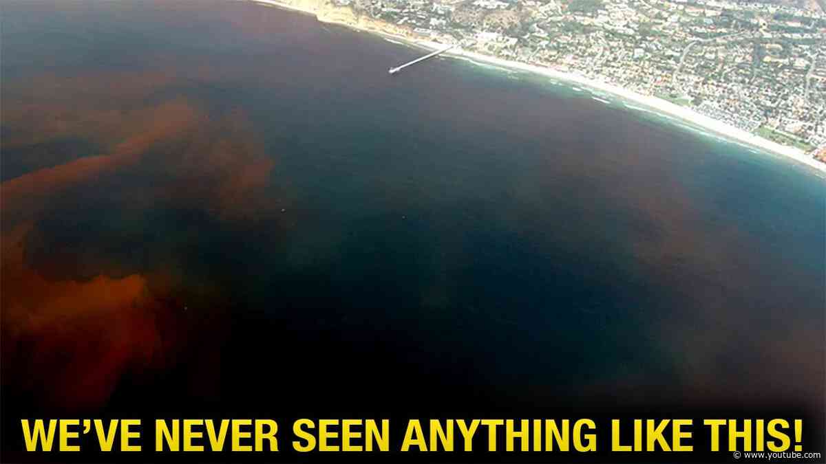 Something BIG is Happening Off the West Coast...