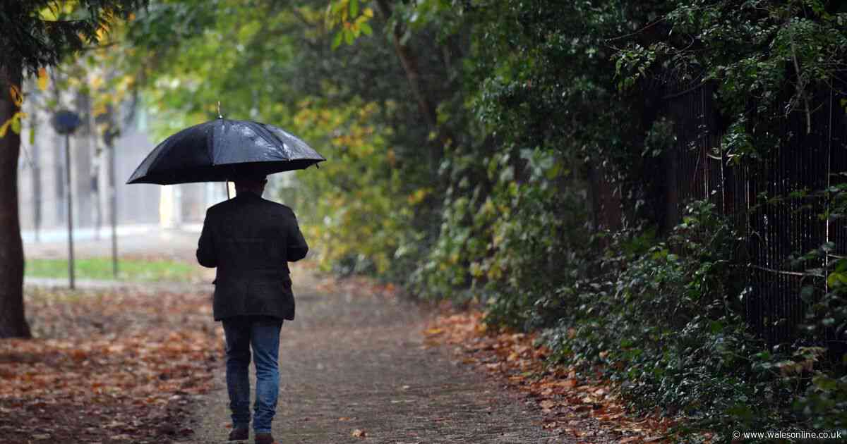Telegraph pokes fun at Welsh weather but 'I'd rather have this than London'