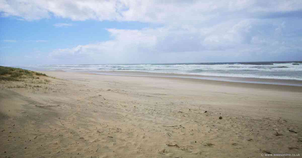 I've been visiting Welsh beach eight miles long for 40 years — it just gets better