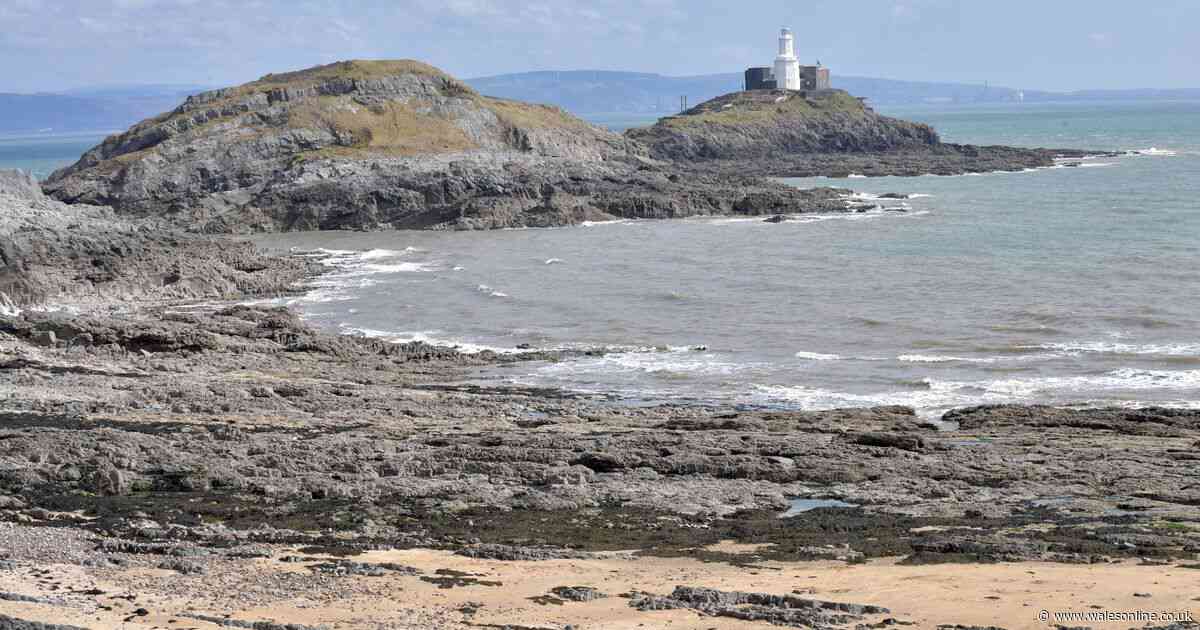 The easy coastal walk with brilliant restaurants and two amazing sandy beaches you can do this weekend
