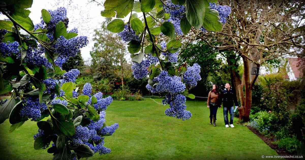 Four events happening in Merseyside this weekend for you to try