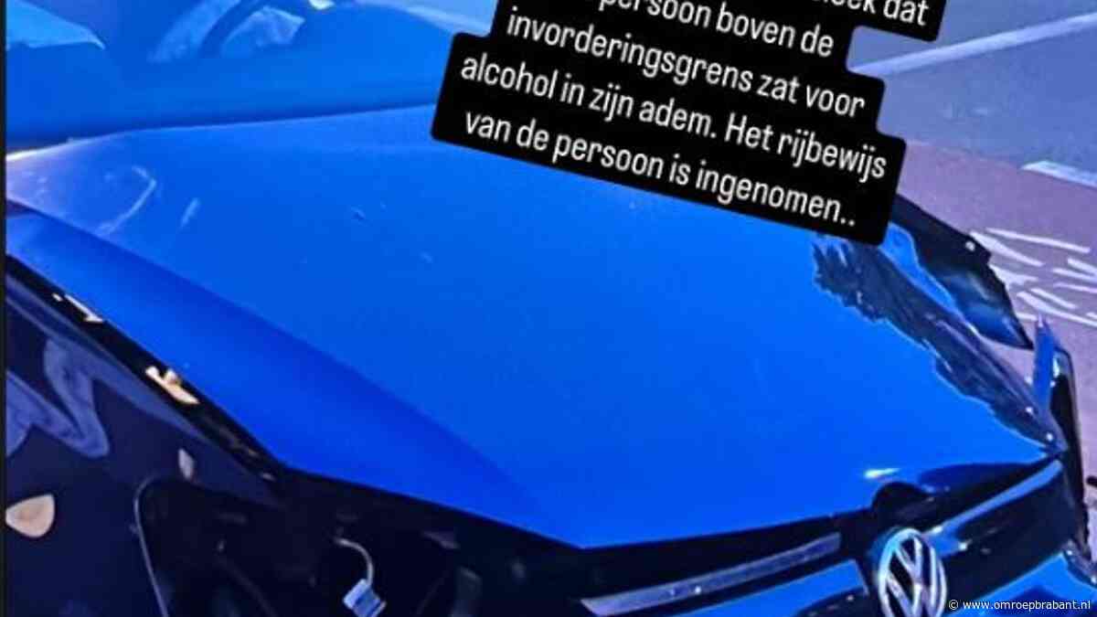 112-nieuws: Automobilist onder invloed is rijbewijs kwijt na ongeluk • Dode zwijntjes gevonden op weg in Waalre