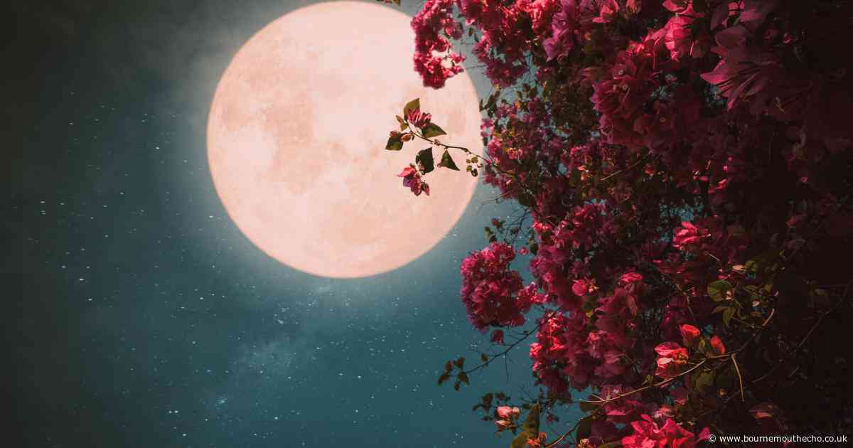 The next full moon is a special 'Flower Moon' and it's coming next week