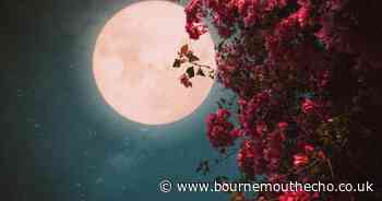 The next full moon is a special 'Flower Moon' and it's coming next week