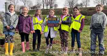 Dorset Council's new plan to 'halt and reverse' decline of nature