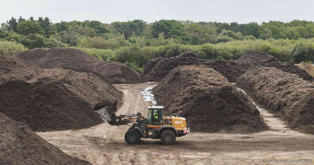 'Wow, what a year': Dorset firm achieves record-breaking recycling
