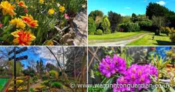 13 photos bursting with colour for National Gardening Week in Warrington