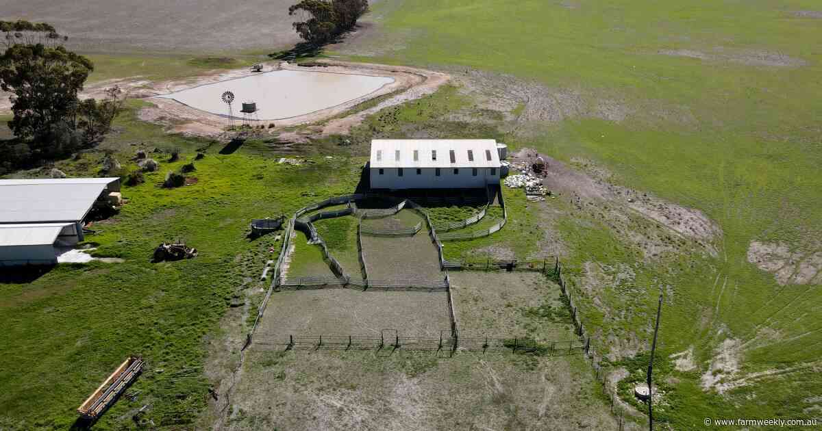 Rare opportunity presents for mixed farm property at east Scaddan location