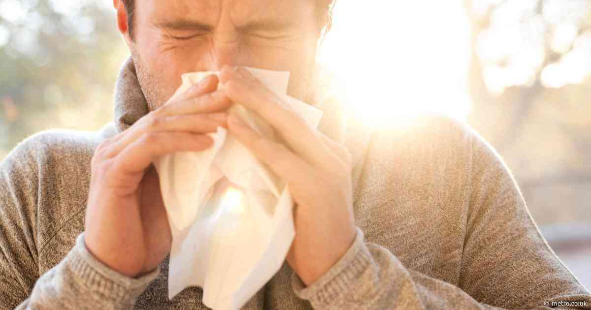 Urgent warning over popular hay fever treatment with users left in ‘severe pain’