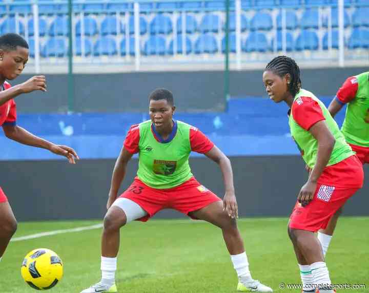 NWFL: Naija Ratels, Nasarawa Amazons Clash In Super Six Playoff Opener