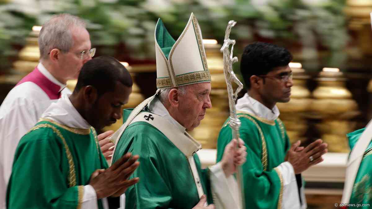 'Leo will follow Francis.' Amazon Catholics hope the new pope will protect the rain forest