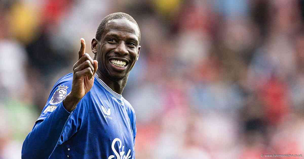 Why ECHO writers can't agree on Everton's line-up for Fulham clash