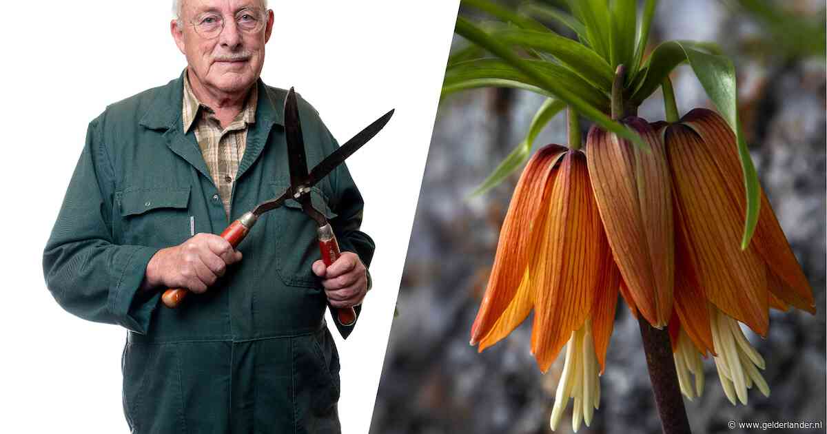 Aan de geur van de plant kun je herkennen welke dieren deze wil aantrekken