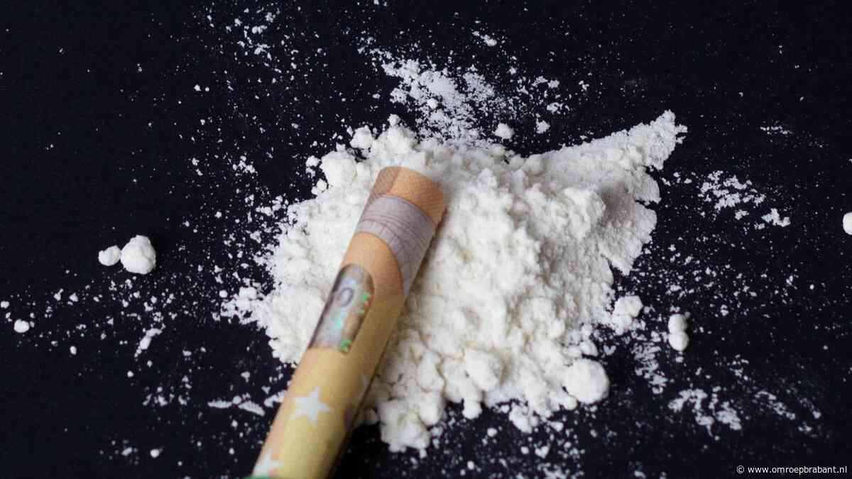 Tientallen blokken met cocaïne gevonden, voertuigen in beslag genomen